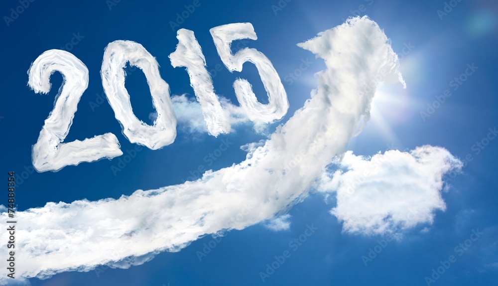 Poster composite image of 2015