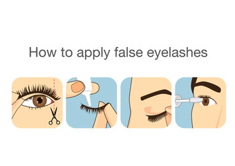 Guide step to applying false eyelash