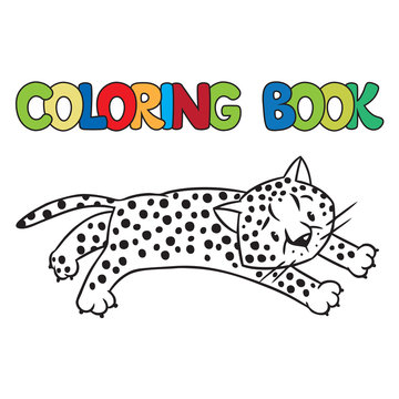 Coloring book of little cheetah or jaguar