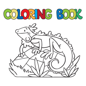 Coloring book of little iguana