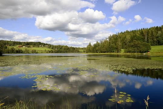 Swedish Lake