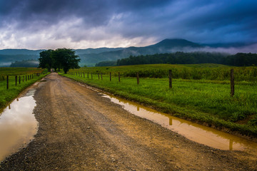 Fototapeta na wymiar Puddles on a dirt road on a foggy morning at Cade's Cove, Great