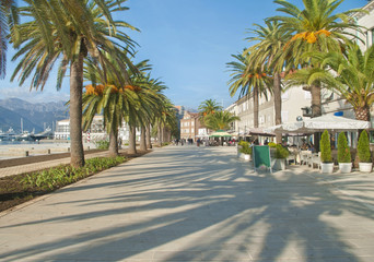 waterfront promenade with palm trees