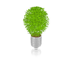 Lightbulb_leafs_dirt