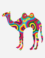 Camel colorfully, art vector illustration
