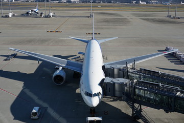 飛行機