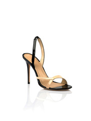 Naklejka premium Fashionable women shoe