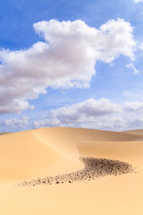 Sand dunes in Boavista desert with blue sky and clouds, Cape Ver