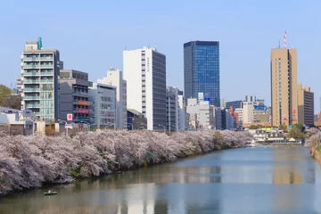 Foto op Plexiglas Cherry blossoms at the Sotobori Park in Tokyo © Scirocco340