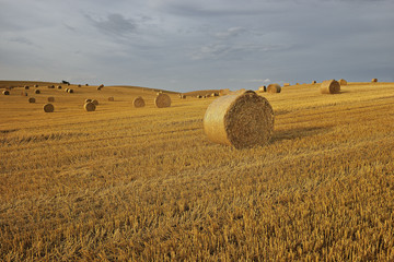 Krajobraz wiejski, po żniwach © janmiko