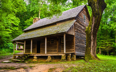 The Henry Whitehead Cabin, at Cade's Cove, Great Smoky Mountains