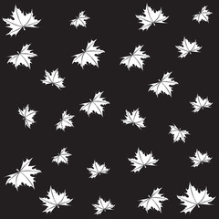 Fototapeta na wymiar Maple leaves on a black background