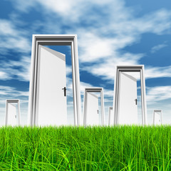 White door in grass with sky background