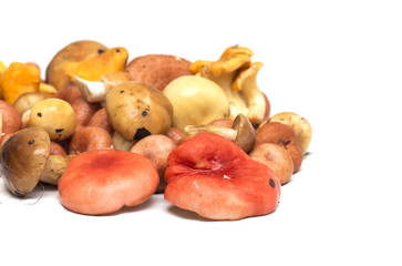 Mushrooms on a white background. Background. Photo.