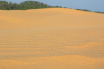 Fototapeta na wymiar Sand texture at Phan Thiet, Vietnam