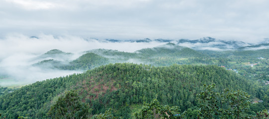 Landscape of green mountain and fog in the morning - 74906786