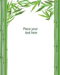 Floral background. Bamboo frame with leaves  isolated