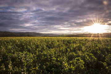 Landschaft