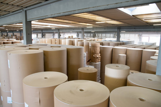 Warehouse (paper and cardoboard) in paper mill