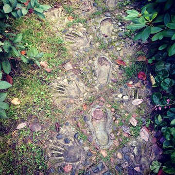 Traces in the Mystical Forest, Parikkala, Finland