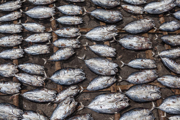 Dried Fish at Market