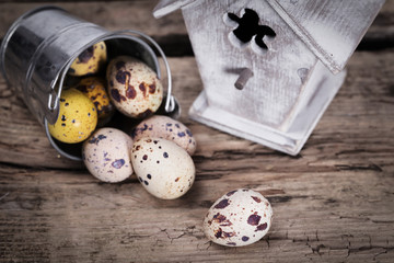 Easter eggs in the nest