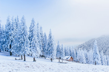 cabin in the mountains in winter