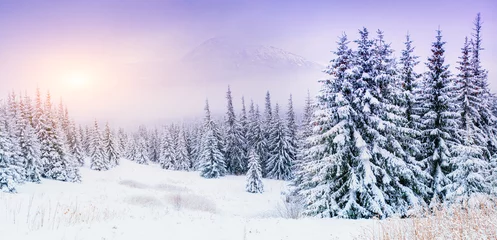 Wall murals purple magical winter snow covered tree