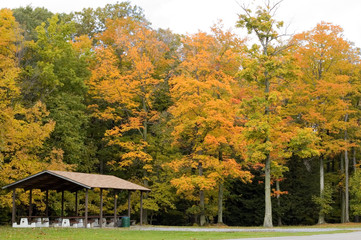 Park Shelter
