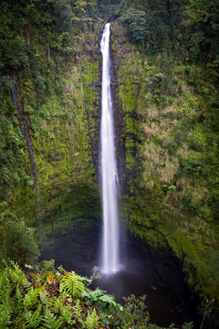 Akaka falls