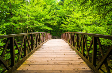 Walking bridge over a stream, at Great Smoky Mountains National - Powered by Adobe