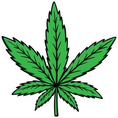 Marijuana - 74920395