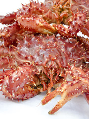 centolla king crab