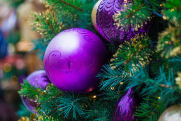 Fototapeta na wymiar Christmas decorations on the branches of tree
