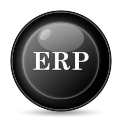 ERP icon