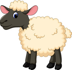 Cute sheep cartoon