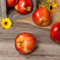 Fresh harvest of Red Apples. Nature theme. Selective focus.