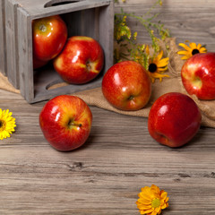 Organic apples. Selective focus.