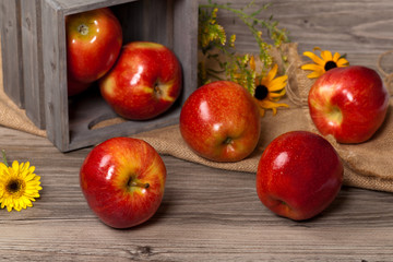 Organic apples. Selective focus.