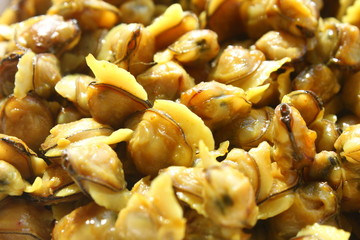 Clam meat close up.