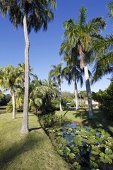 Fototapeta premium Fairchild tropical gardens
