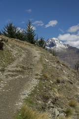 Mountain trail in New Zealand