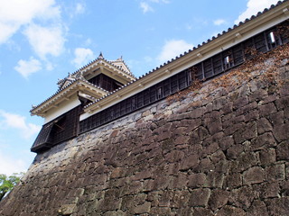 Obraz premium 熊本城宇土櫓