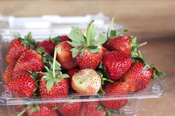 a lot of fresh strawberry fruit