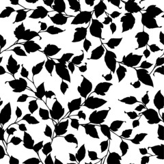 植物のパターン