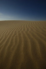 Sand dunes