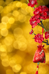 Chinese new year's decoration