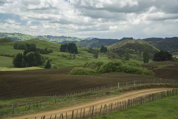 Fototapeta na wymiar Farmlands. New Zealand