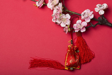 Chinese new year's decoration