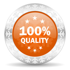 quality orange icon, christmas button